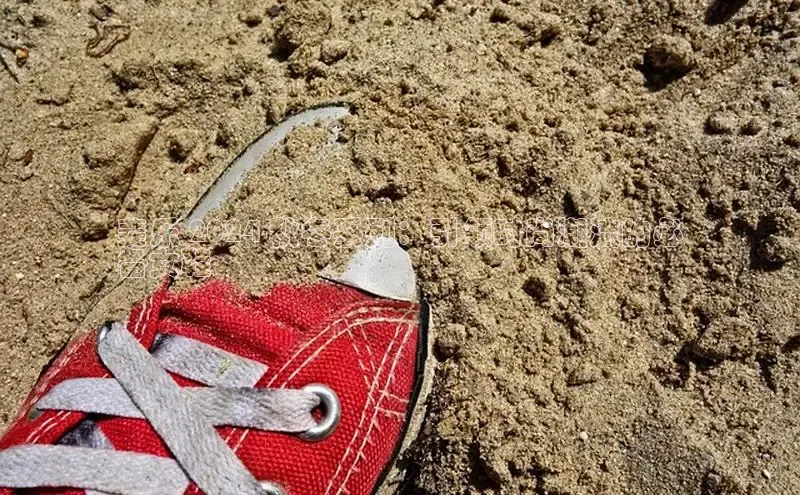 意昂体育长176五827百度翻译斐乐 2024 秋冬系列：引领时尚潮流的必
备女鞋