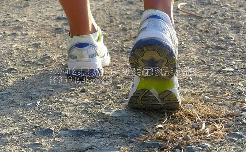 意昂官网登录入口百度移动开放平台2024 年最新女款羊皮玛丽珍鞋：时尚
舒适的完美选择