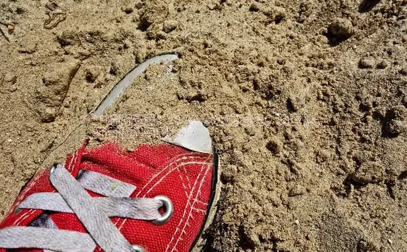 意昂体育平台APP度小满支付**时尚宣言：2024 意尔康凉鞋，为女性
打造优雅与舒适**