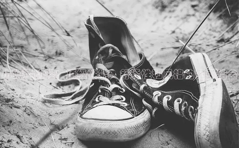 意昂体育平台APP中海达小狮运动鞋：顶级性能、舒适性和风格的完美结合