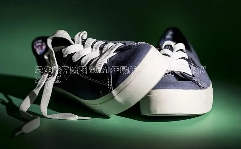 意昂体育注册ARGA公司学生鞋子男鞋 2024 年最新品牌：舒适、时尚
又实惠