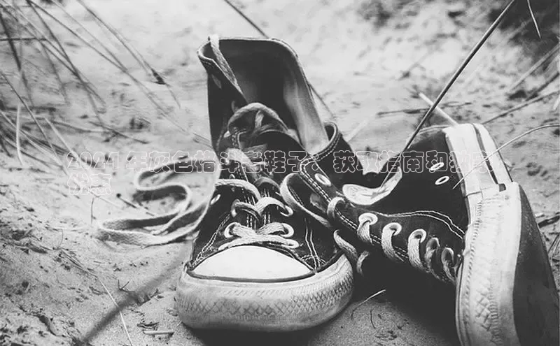 意昂体育平台长176五827小红书2024 年灰色格斗者鞋子：获取指南和独家
优惠