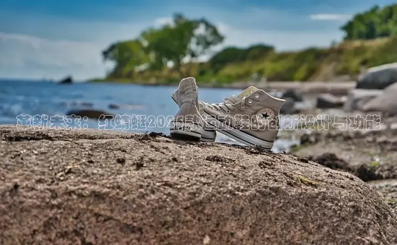 意昂体育3平台孩176五八27员路畅科技革新未来：红蜻蜓2025款运动鞋的创新设计与功能