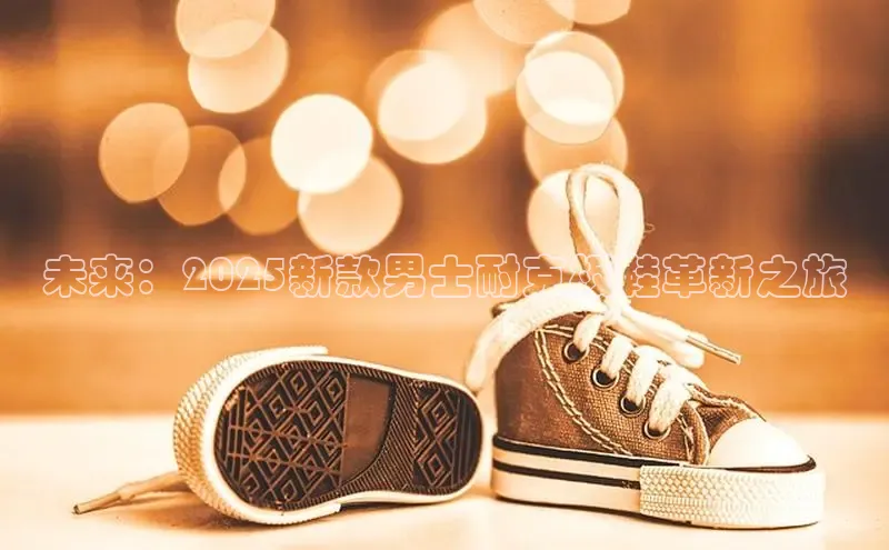 未来：2025新款男士耐克板鞋革新之旅