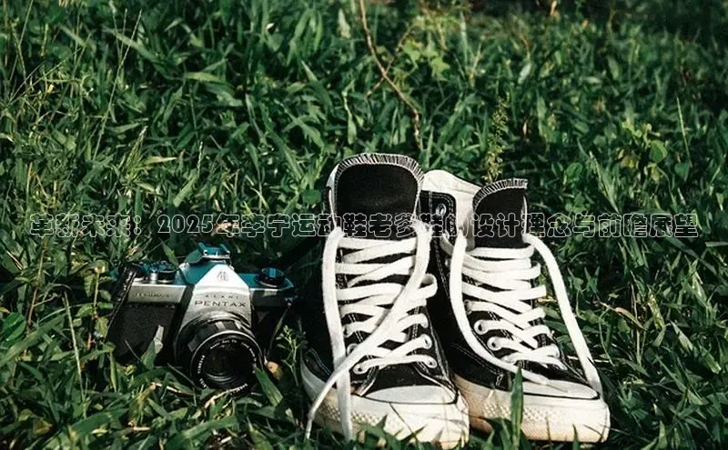 革新未来：2025年李宁运动鞋老爹鞋的设计理念与前瞻展望