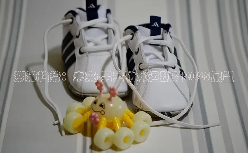 潮流趋势：未来:男童防水运动鞋2025展望
