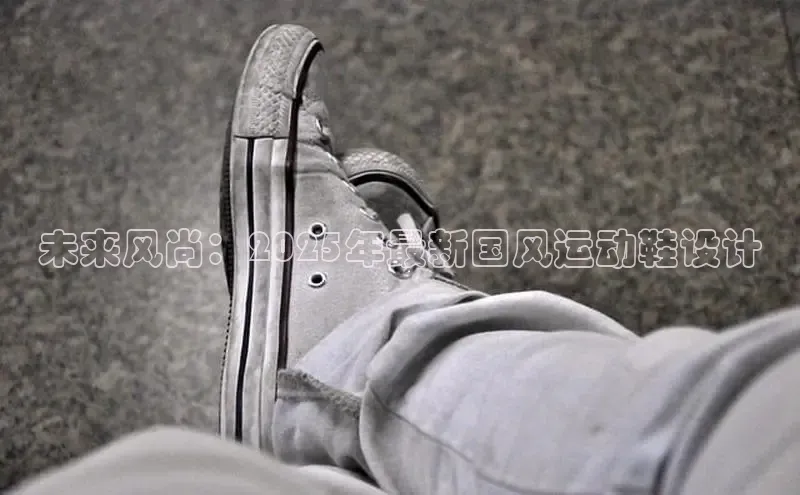未来风尚：2025年最新国风运动鞋设计